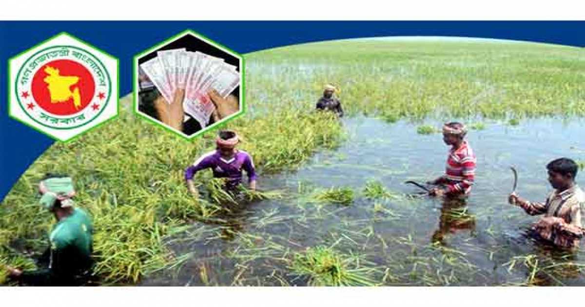 আত্রাইয়ে পাহাড়ি ঢলে কৃষকের ক্ষতি প্রায় ৭ কোটি টাকা