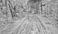 ছবি