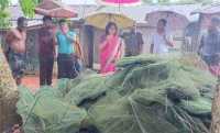 ছবি