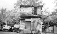 ছবি