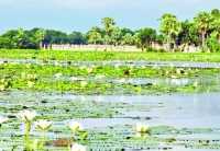 ছবি