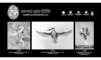 ছবি