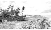 ছবি