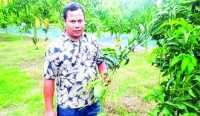 ছবি