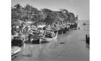 ছবি