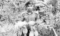 ছবি