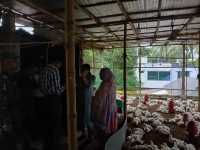 ছবি