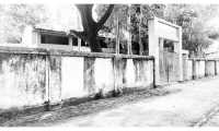 ছবি