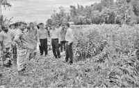 ছবি