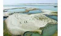 ছবি
