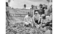 ছবি