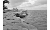 ছবি