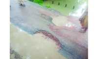 ছবি