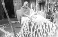ছবি
