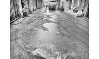 ছবি