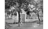 ছবি