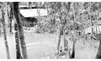 ছবি