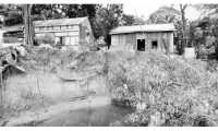 ছবি