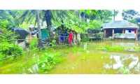 ছবি