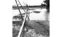 ছবি