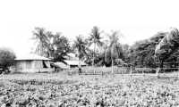 ছবি