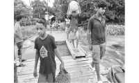 ছবি