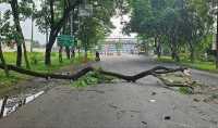 ছবি