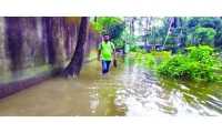 ছবি