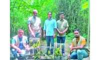 ছবি