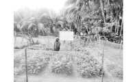ছবি