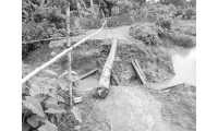 ছবি