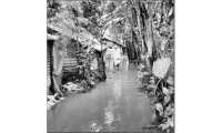 ছবি