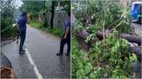 ছবি