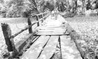 ছবি