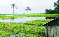 ছবি