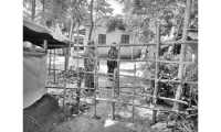 ছবি