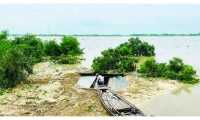 ছবি