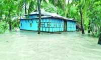ছবি