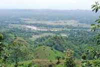 ছবি