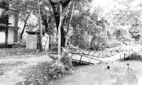 ছবি