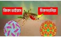 ছবি
