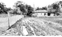 ছবি