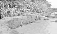 ছবি