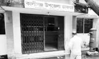 ছবি