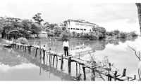 ছবি