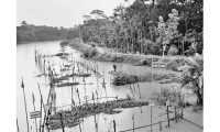 ছবি