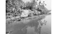 ছবি