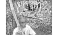 ছবি