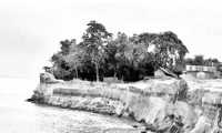 ছবি