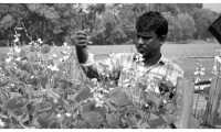 ছবি